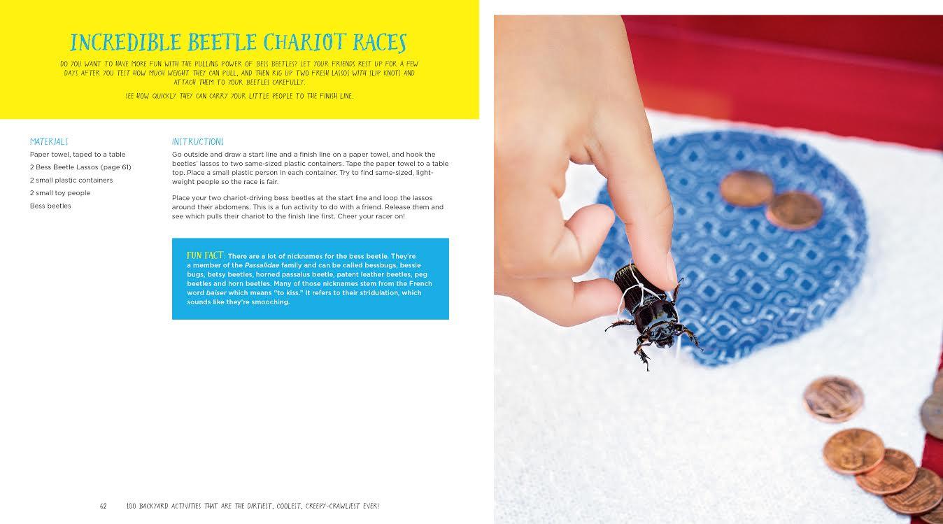 100 Backyard Activities That Are the Dirtiest Coolest Creepy Crawliest Ever by Page Street Publishing 1
