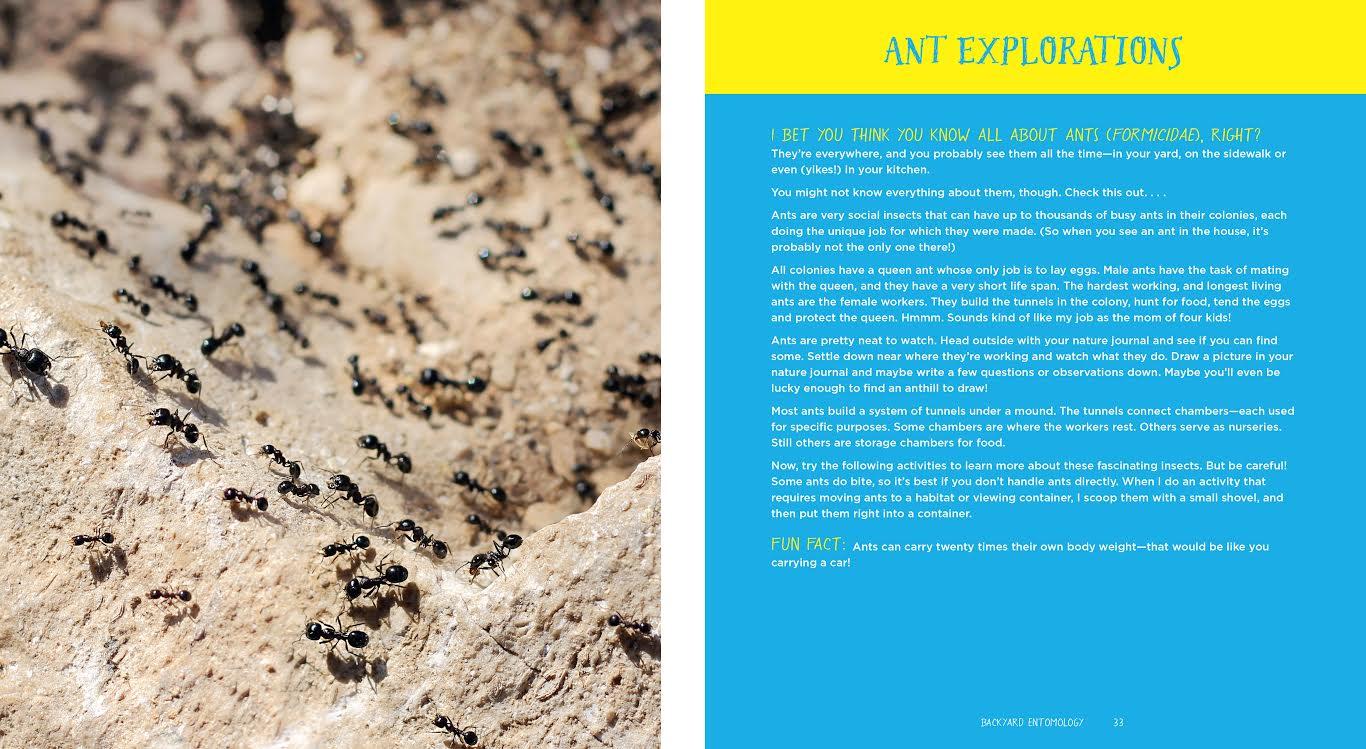 100 Backyard Activities That Are the Dirtiest Coolest Creepy Crawliest Ever by Page Street Publishing 2