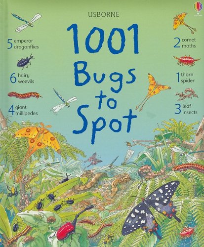 1001 Bugs to Spot by Usborne