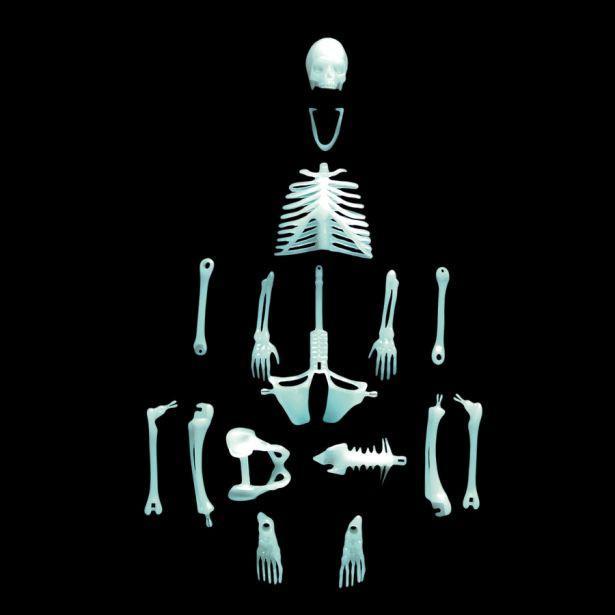 12 Glowing Human Skeleton by Copernicus 1