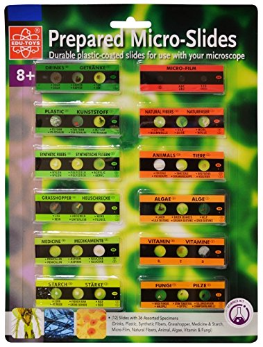 12 Slide w 36 Assorted Specimens by Elenco