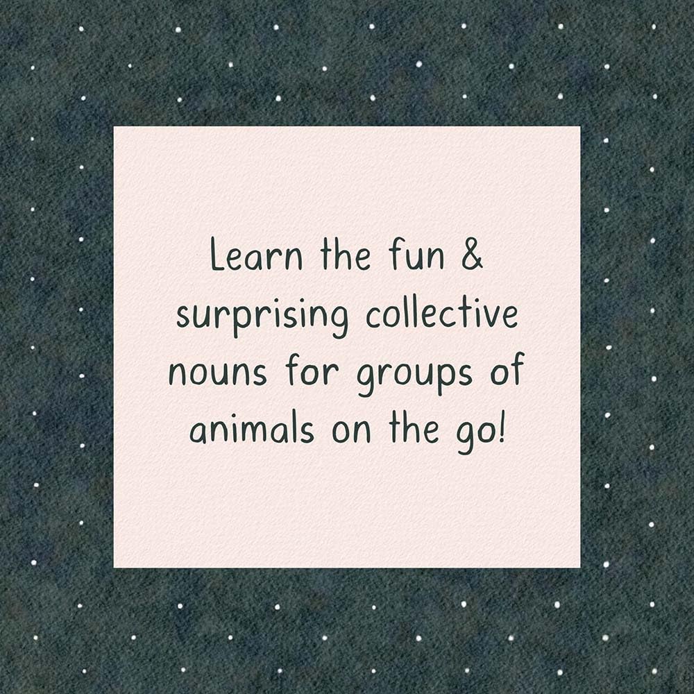 A Sleuth of Bears and Other Amusing, Beguiling, and Peculiar Collective Nouns by Chronicle Books