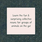 A Sleuth of Bears and Other Amusing, Beguiling, and Peculiar Collective Nouns by Chronicle Books