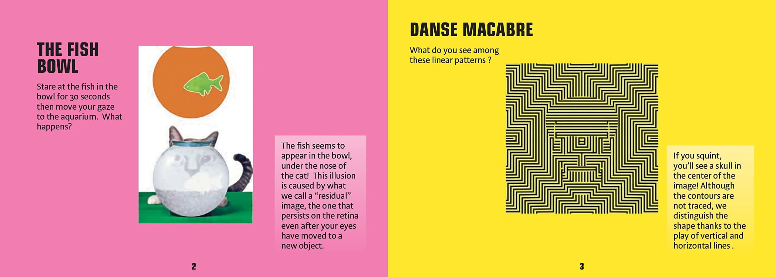 365 Optical Illusions by Firefly Books 1