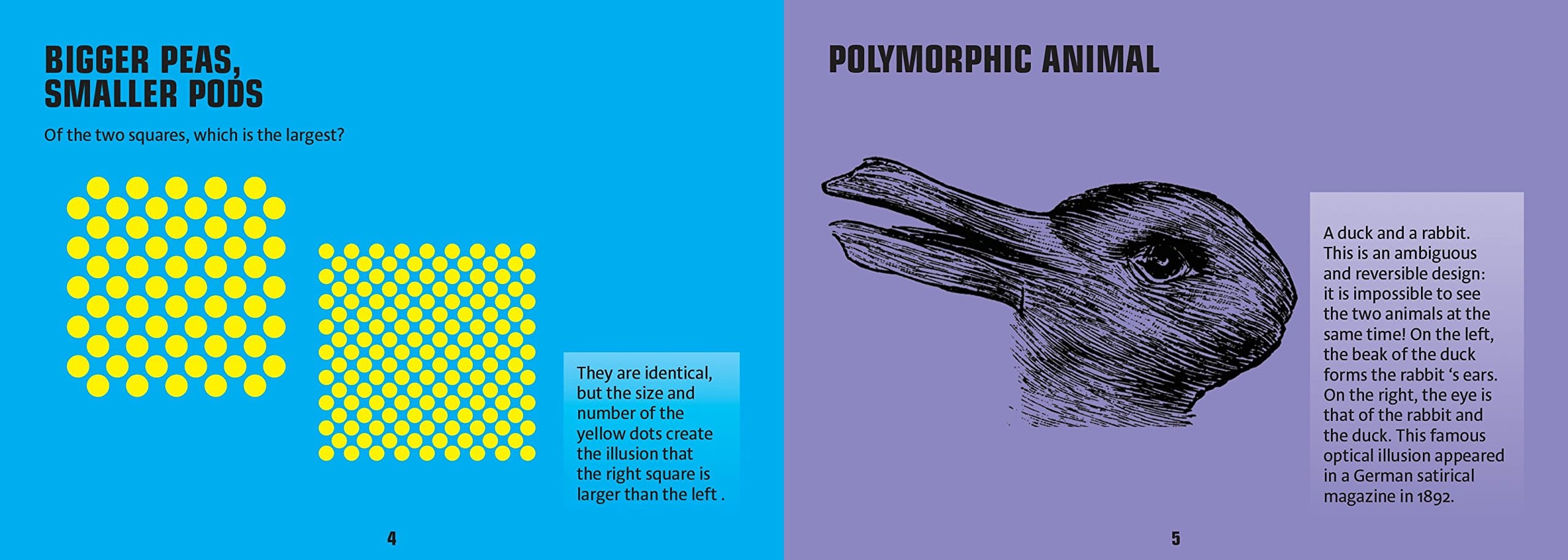 365 Optical Illusions by Firefly Books 2