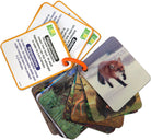 3D Animals Flash Cards by Smart Play