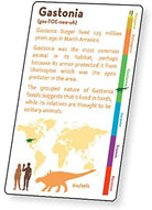 3D Lenticular Dinosaur Fact Cards Green by Artgame 2