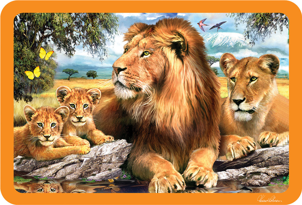 3D Lenticular Placemats by Eurographics 1