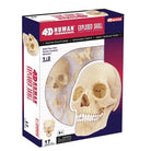 4D Human Anatomy Exploded Skul by TEDCO