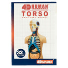 4D Human Anatomy Torso Model by TEDCO