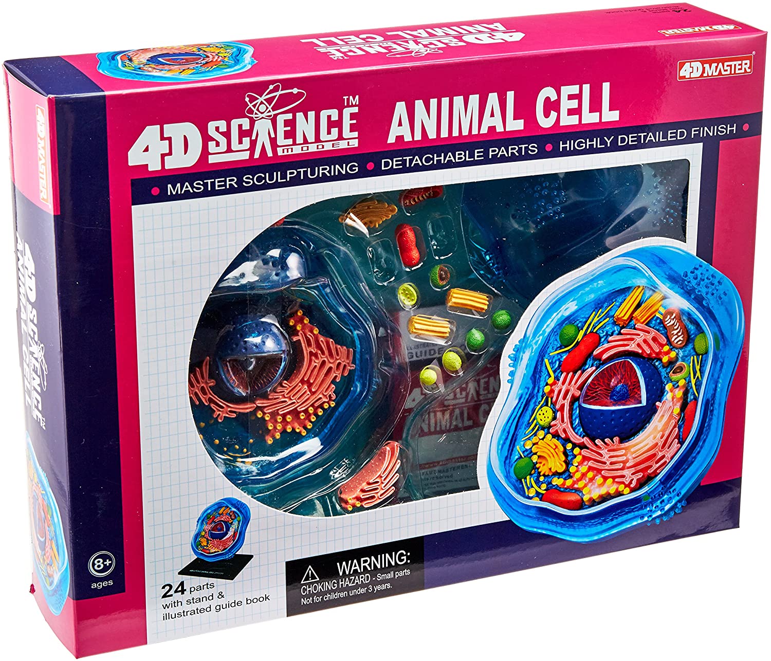 ✣アルソア CELL　SET3✣ 4D Science Animal Cell Model – A2Z Science & Toys