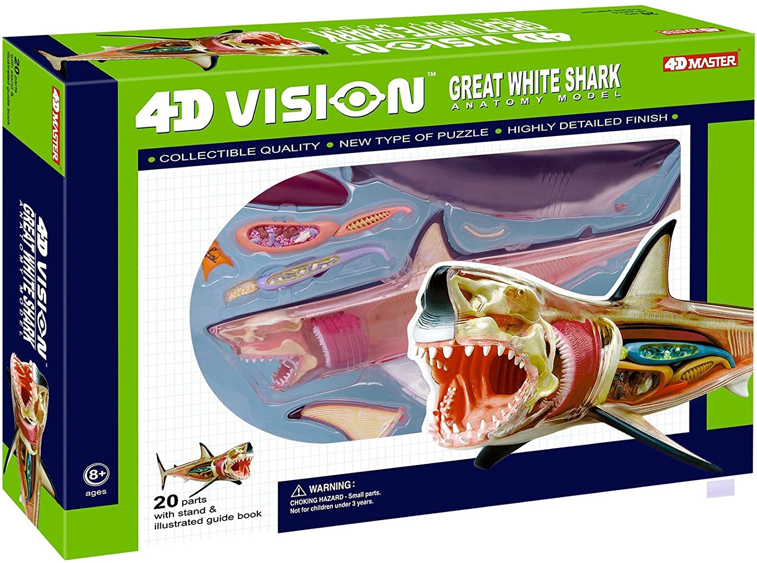 4D Vision Great White Shark Anatomy Model by TEDCO