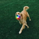 Glowstreak Recharable LED Ball by Niteize