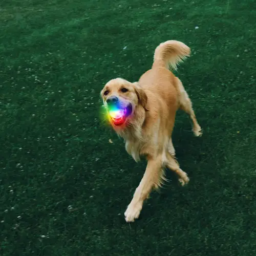 Glowstreak Recharable LED Ball by Niteize