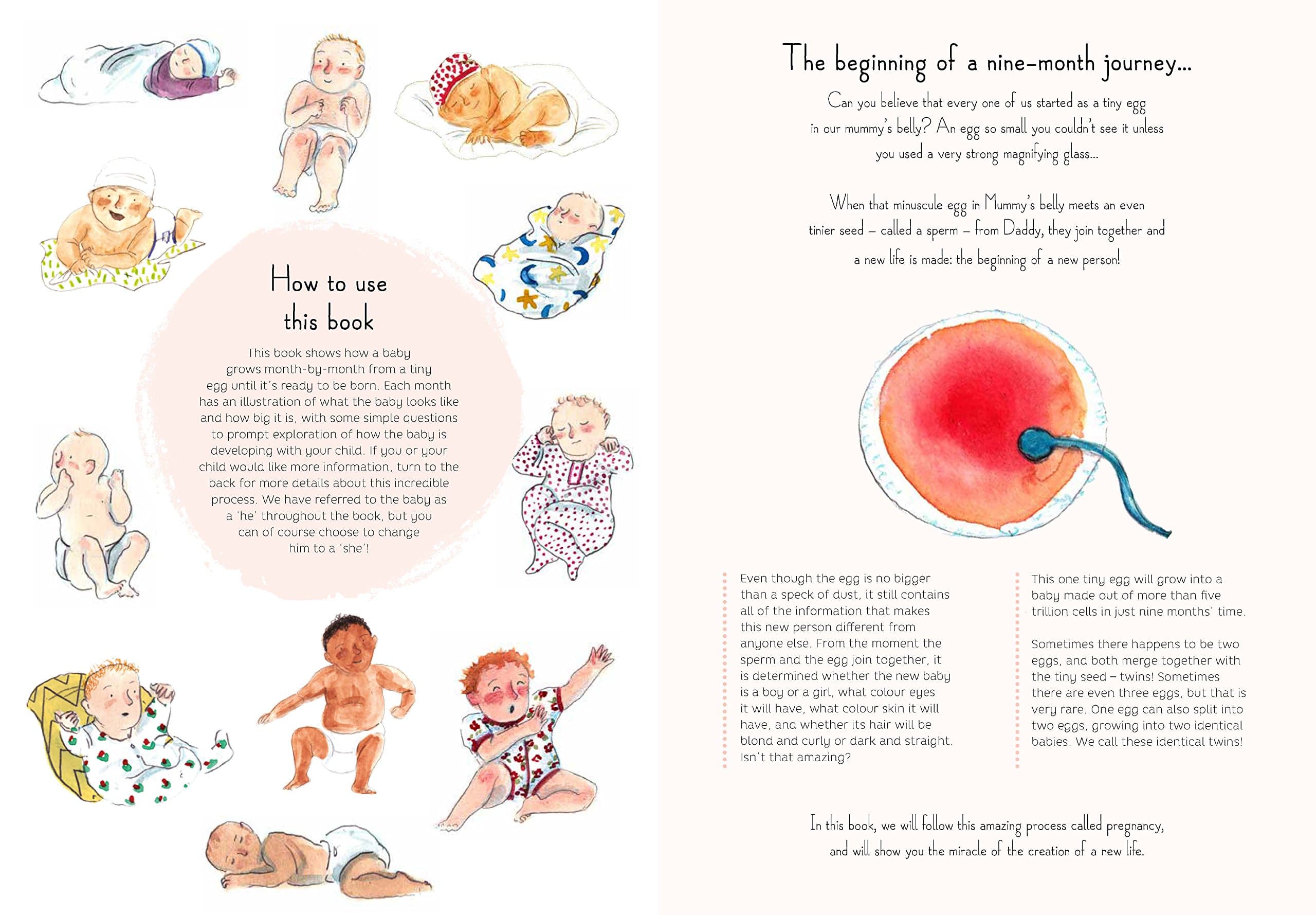 9 Months A Month by Month Guide to Pregnancy for the Family to Share by Quarto Publishing 1