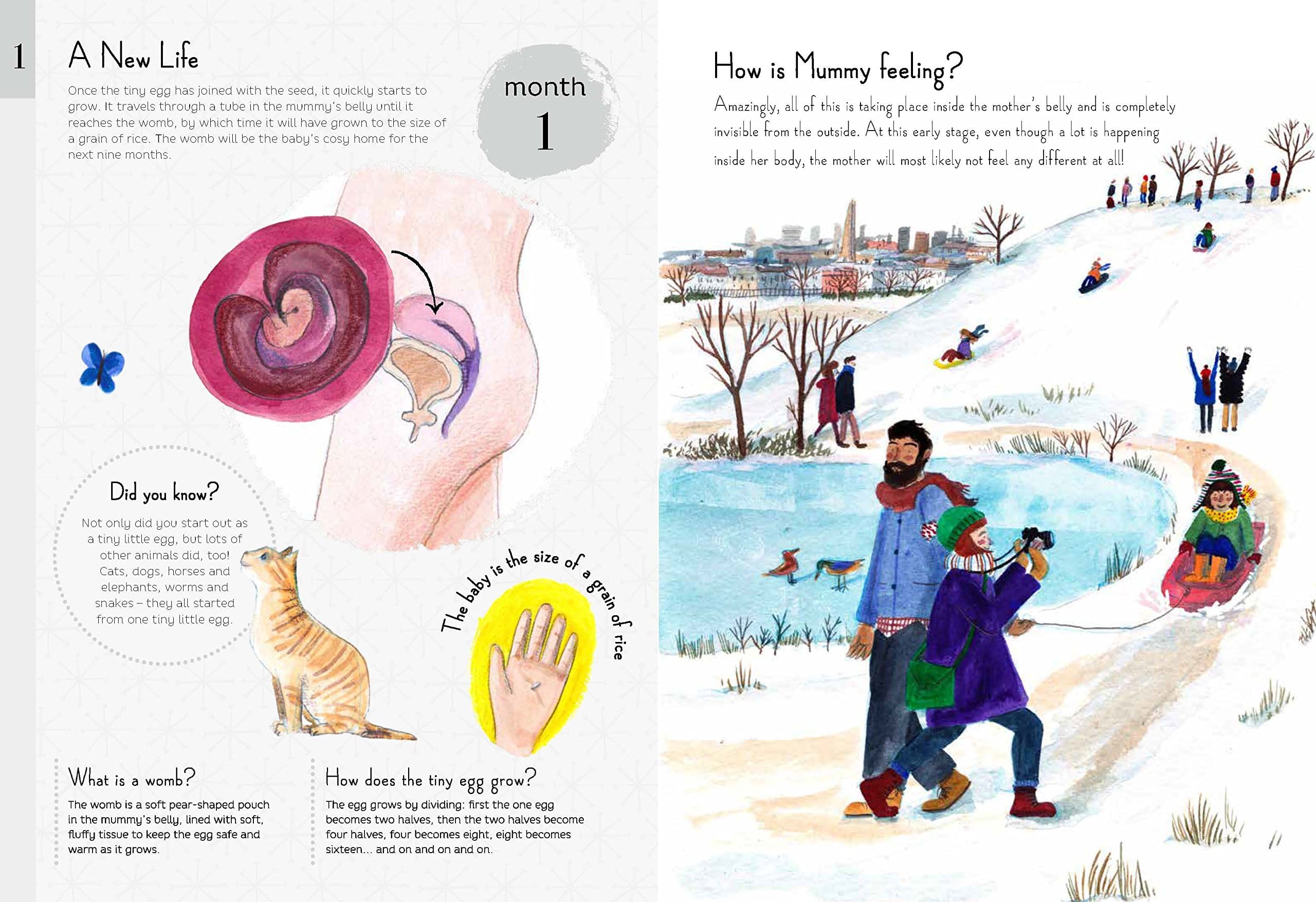 9 Months A Month by Month Guide to Pregnancy for the Family to Share by Quarto Publishing 2