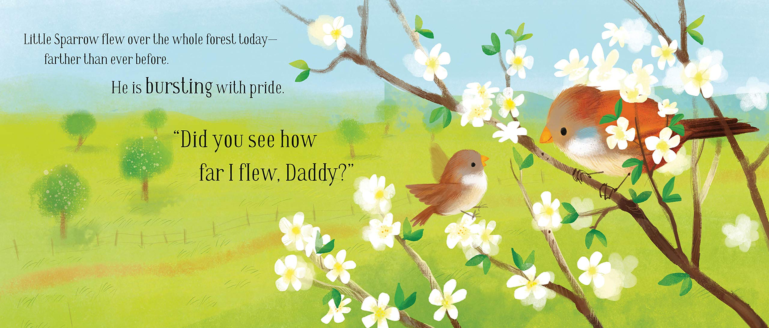 A New Baby for Birdie by Quarto Publishing 1