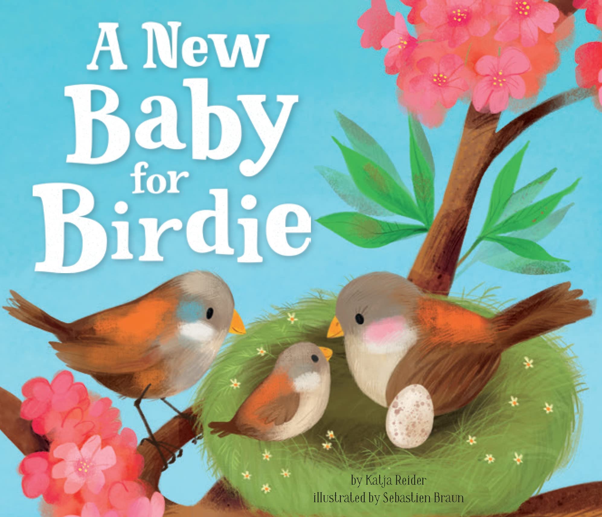 A New Baby for Birdie by Quarto Publishing
