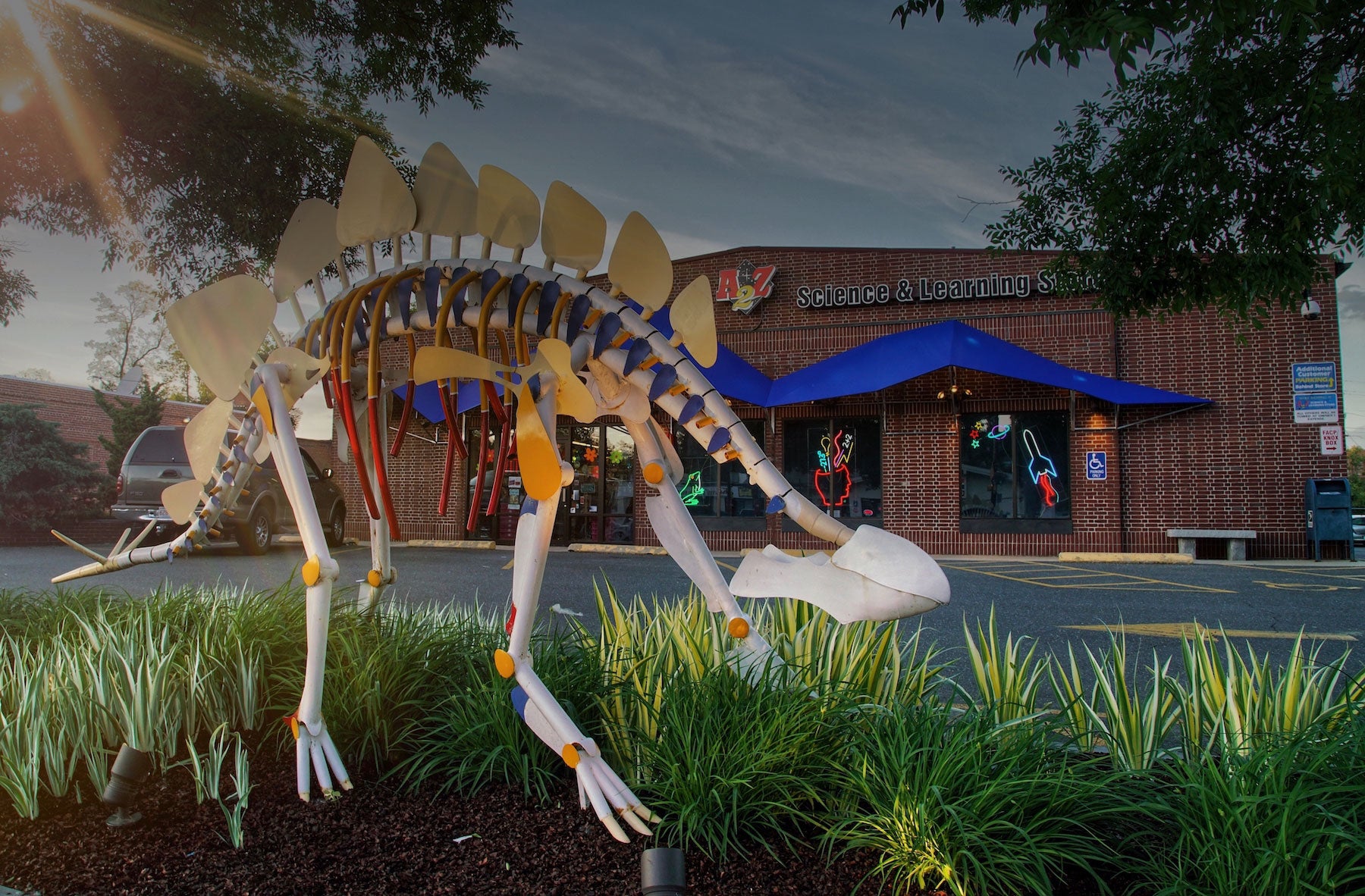 A2Z Science & Toys | Curious Toys for Curious Minds