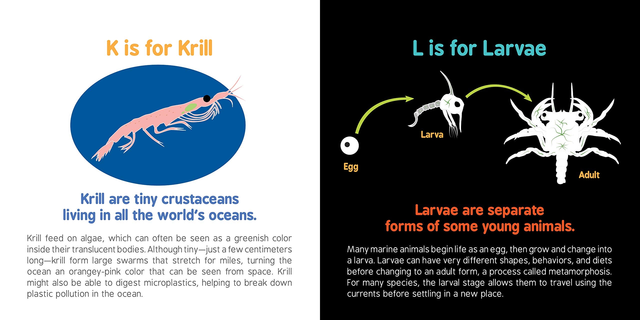 ABCs of Oceanography by Sourcebooks 6