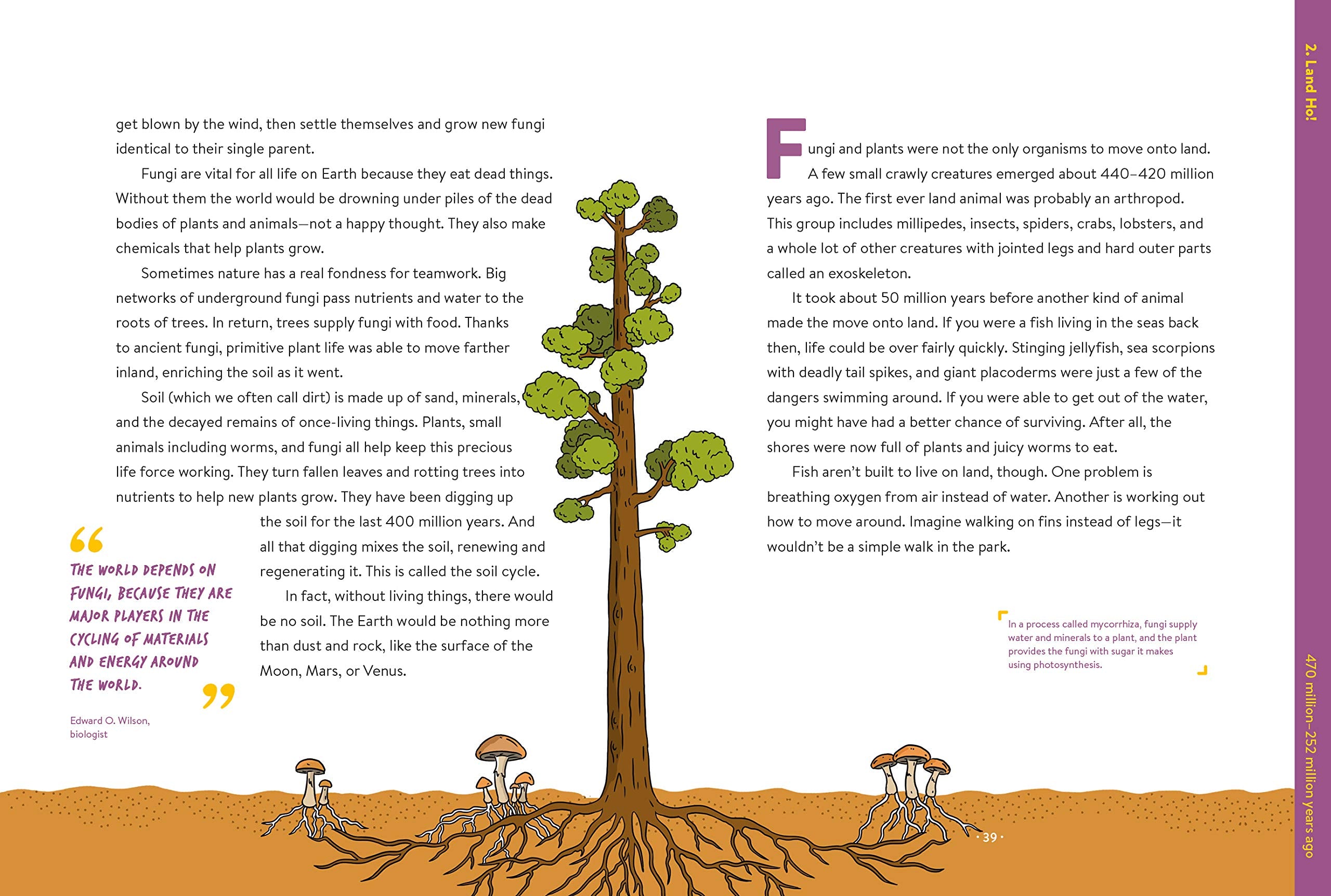 Absolutely Everything A History of Earth Dinosaurs Rulers Robots and Other Things Too Numerous to Mention by What on Earth Books 1