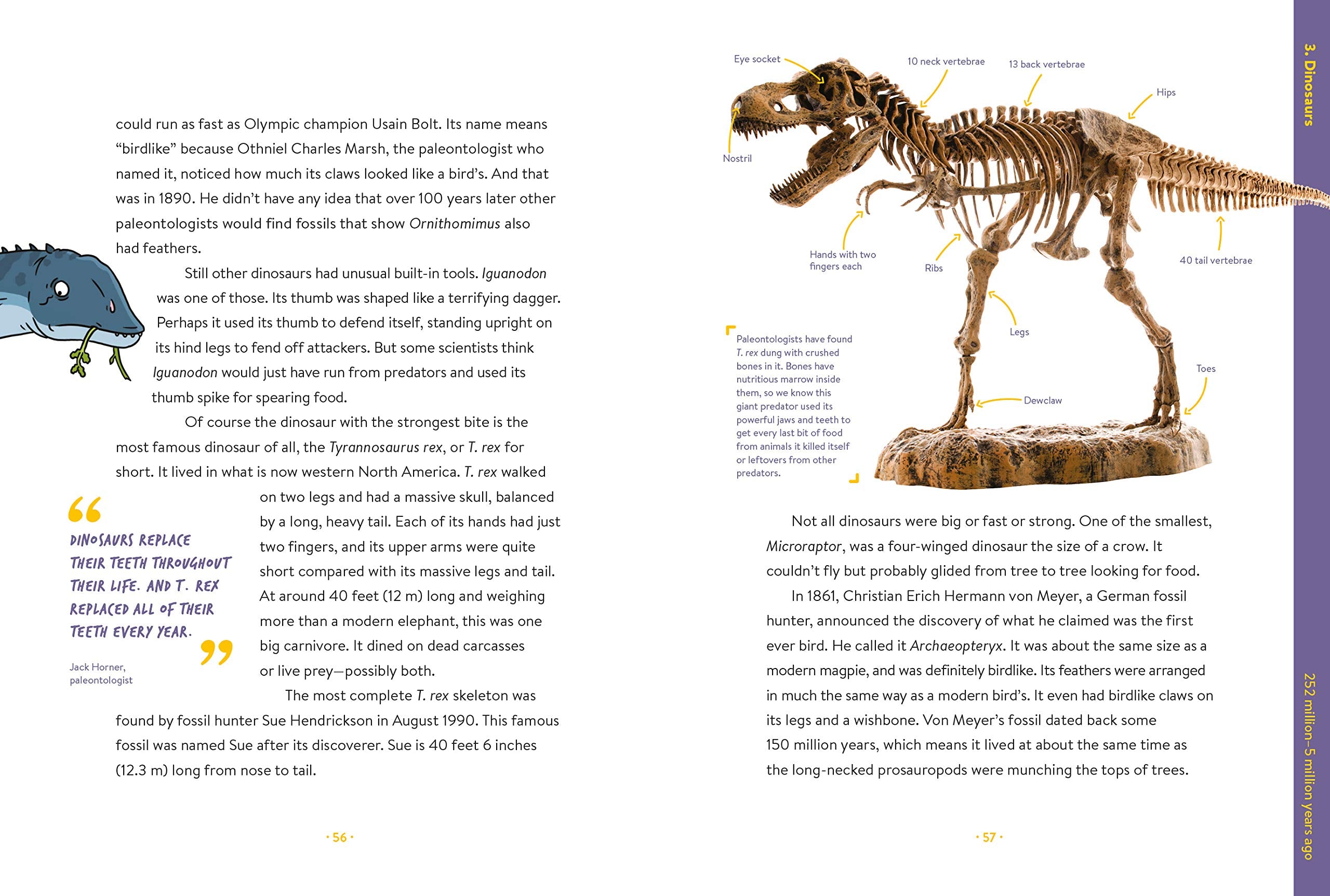 Absolutely Everything A History of Earth Dinosaurs Rulers Robots and Other Things Too Numerous to Mention by What on Earth Books 2