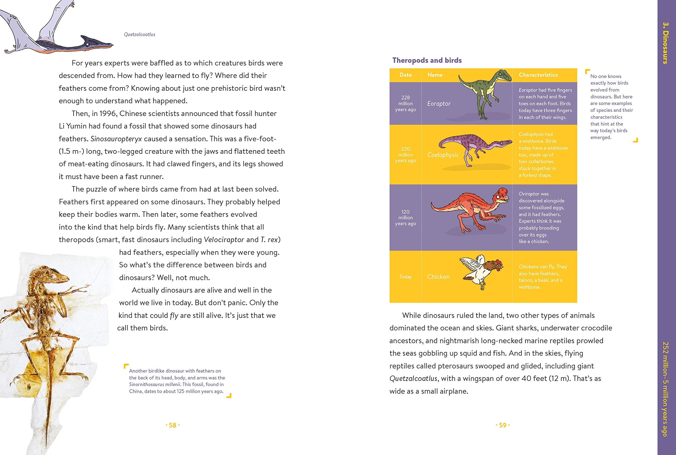 Absolutely Everything A History of Earth Dinosaurs Rulers Robots and Other Things Too Numerous to Mention by What on Earth Books 3