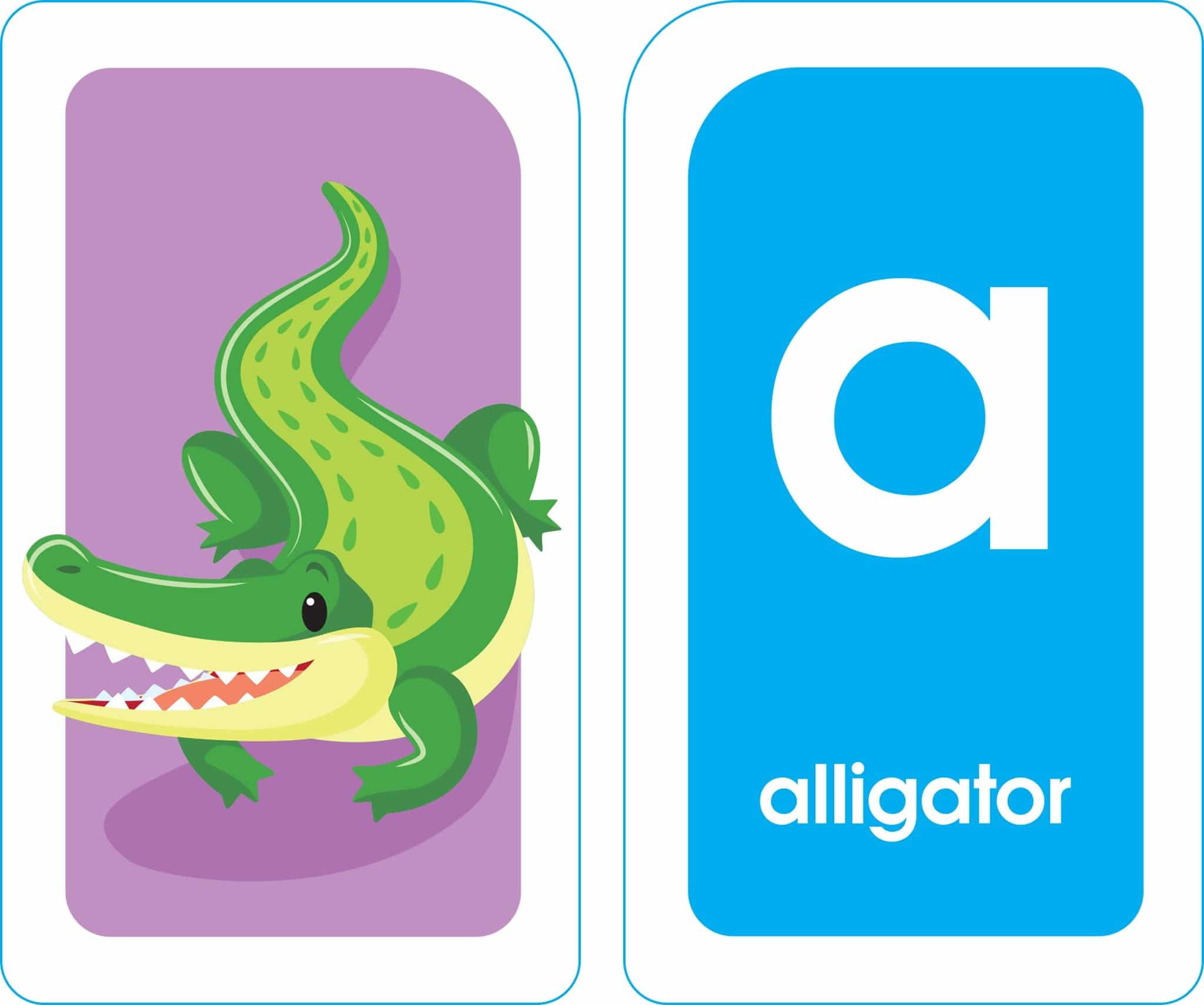 Motomi【絵カードのみABC】FLASHカードドライブラリ Alphabet Flash Cards – A2Z Science & Toys