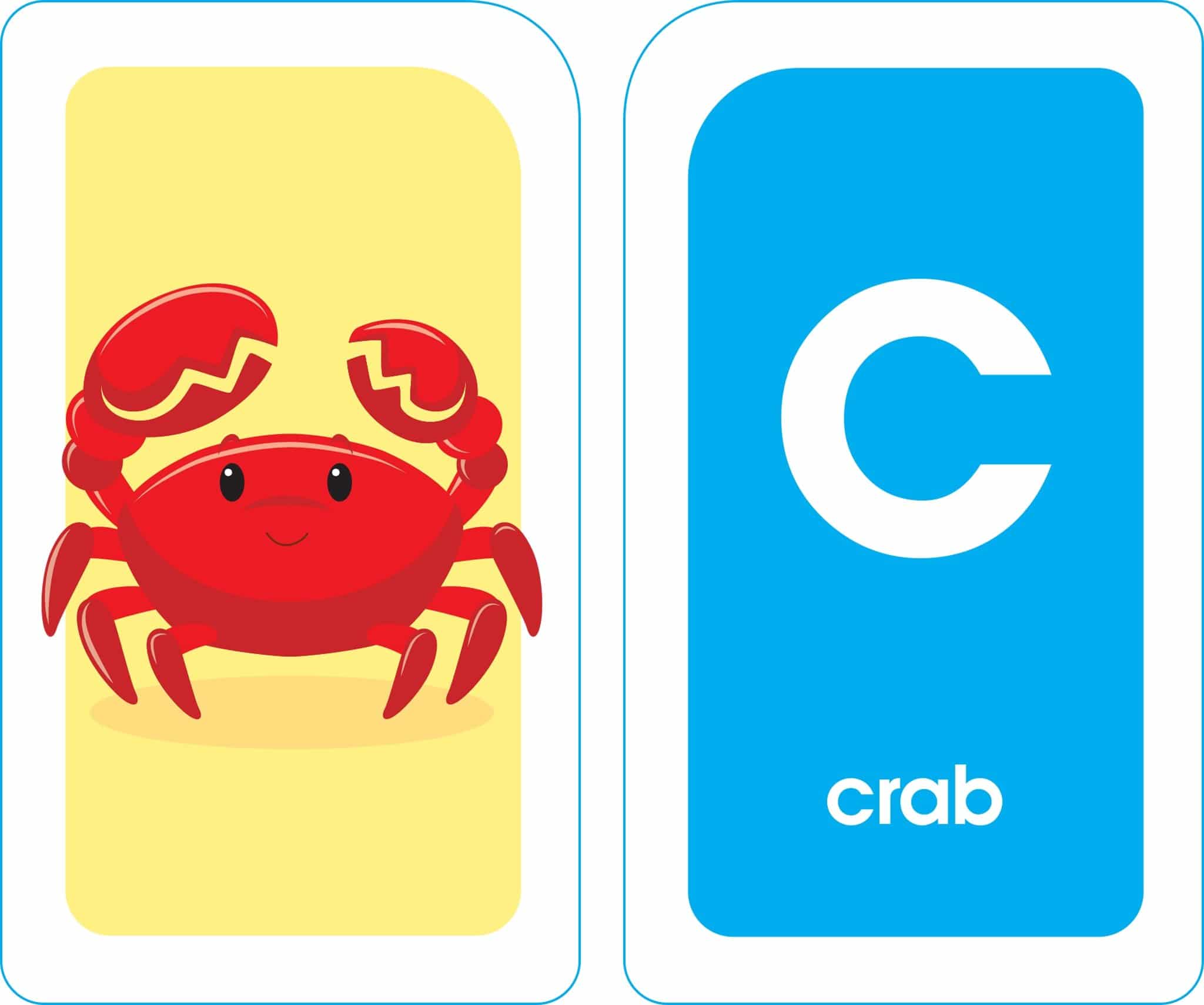Alphabet Flash Cards by School Zone 4