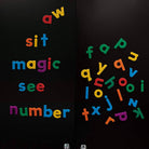 Alphamagnets Jumbo Lowercase Letters by Educational Insights 2