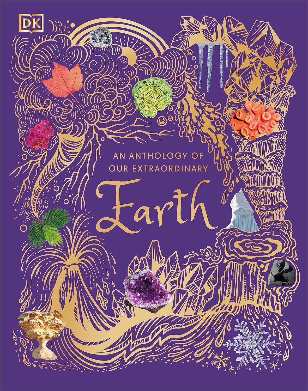 An Anthology of Our Extraordinary Earth-by-DK Publishing