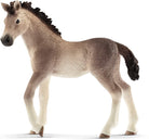 Andalusian Foal by Schliech