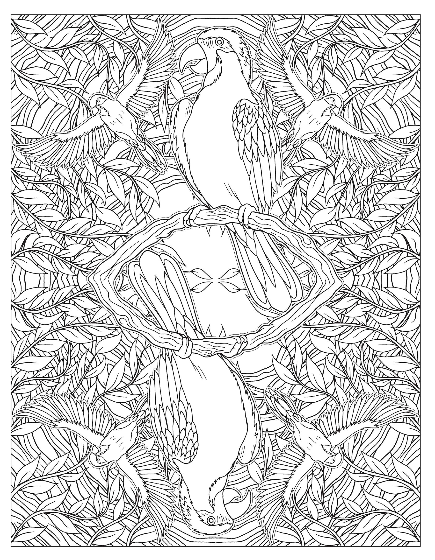 Animal Kaleidoscope Designs Coloring Book by Dover Publications 2