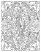 Animal Kaleidoscope Designs Coloring Book by Dover Publications 3