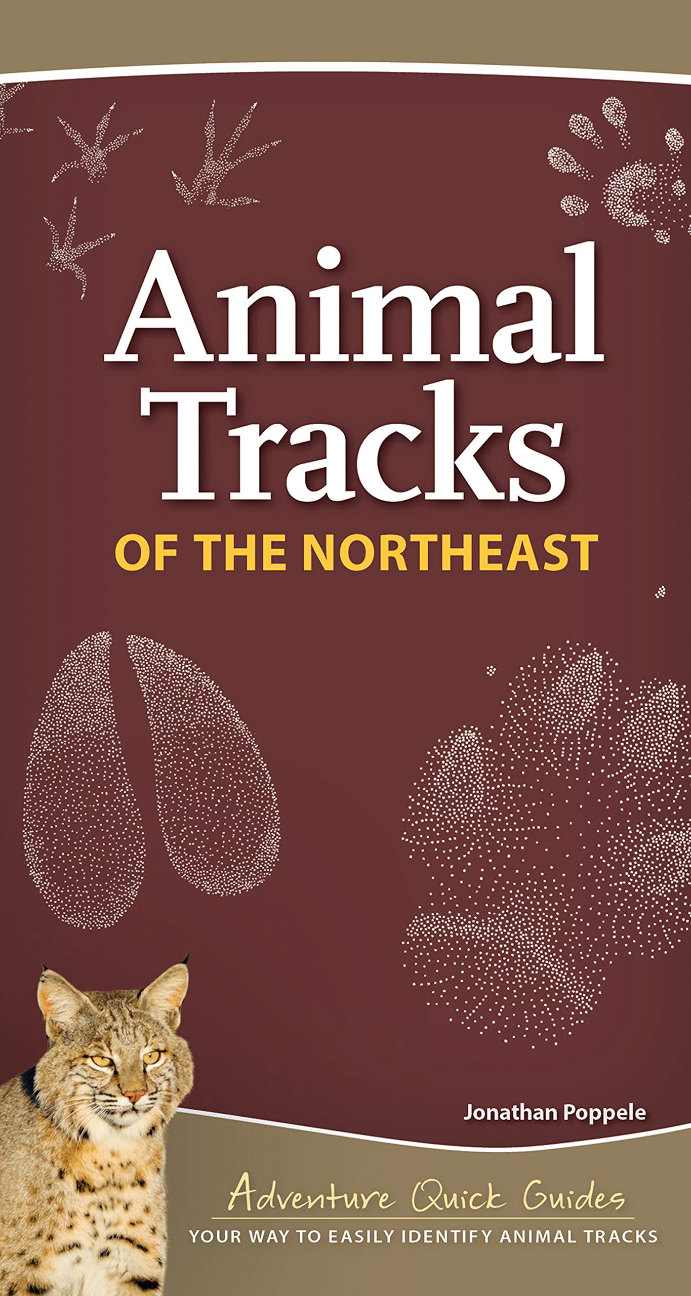 Animal Tracks of the Northeast by Adventure Keen