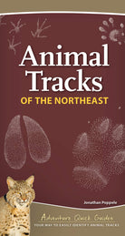 Animal Tracks of the Northeast by Adventure Keen