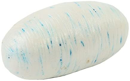 Ant Life Cycle by Insect Lore 2