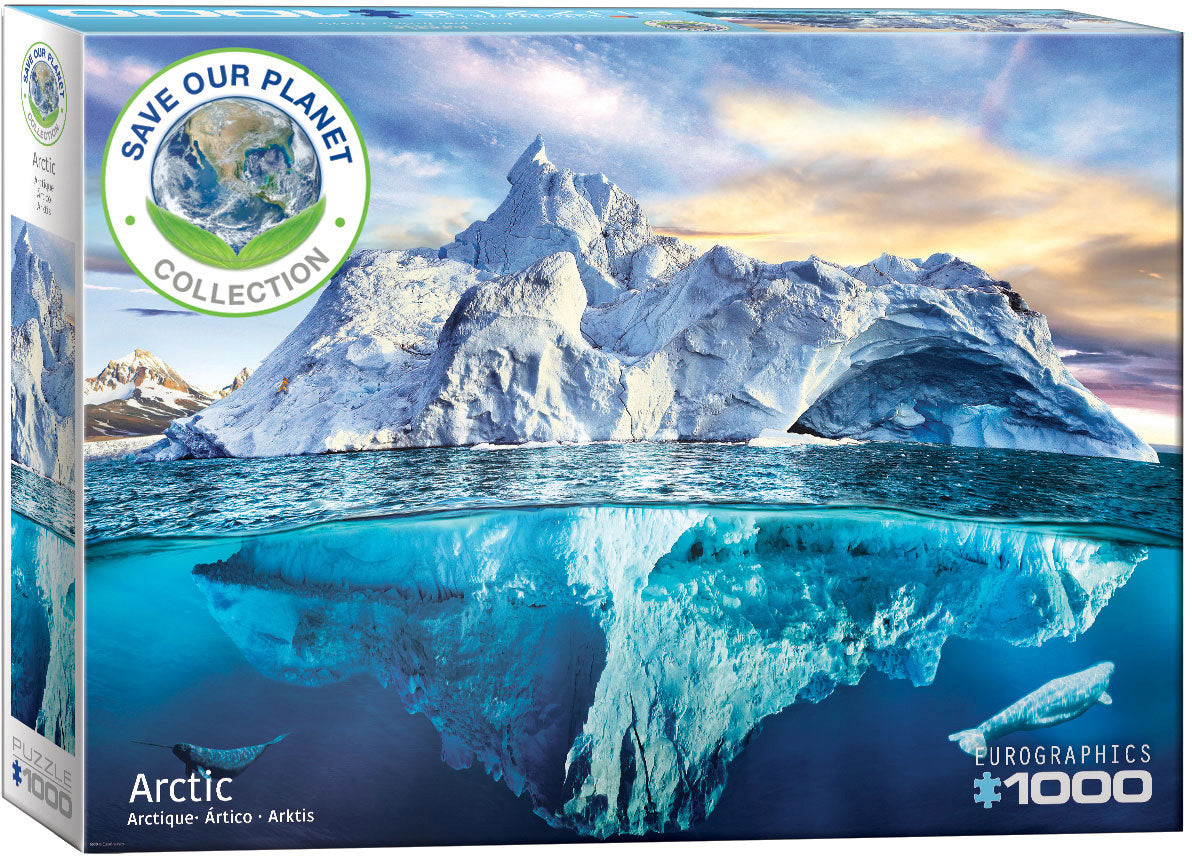Arctic Puzle by Eurographics