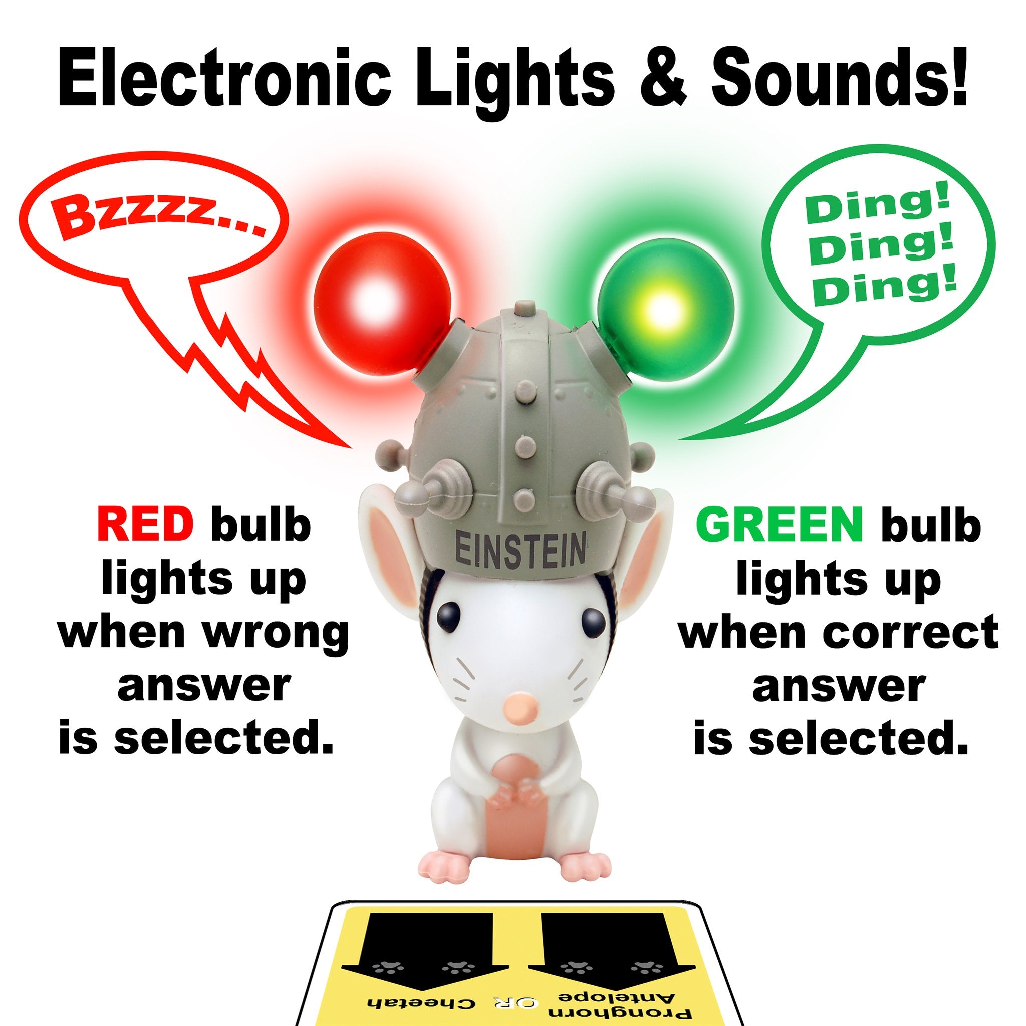 Ask Einstein Kit with 300 Cards Animal and Dinosuars by Thin Air 3