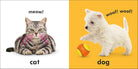 Baby Touch and Feel: First Words by DK Publishing