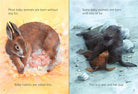 Baby Animals Usborne Beginners by Usborne 1