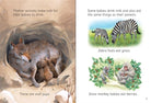 Baby Animals Usborne Beginners by Usborne 2