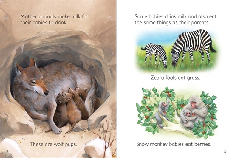 Baby Animals Usborne Beginners by Usborne 2