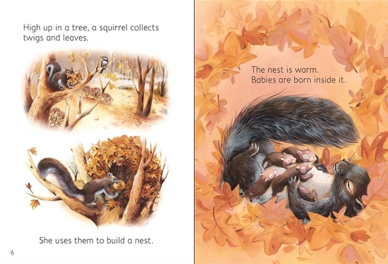 Baby Animals Usborne Beginners by Usborne 3