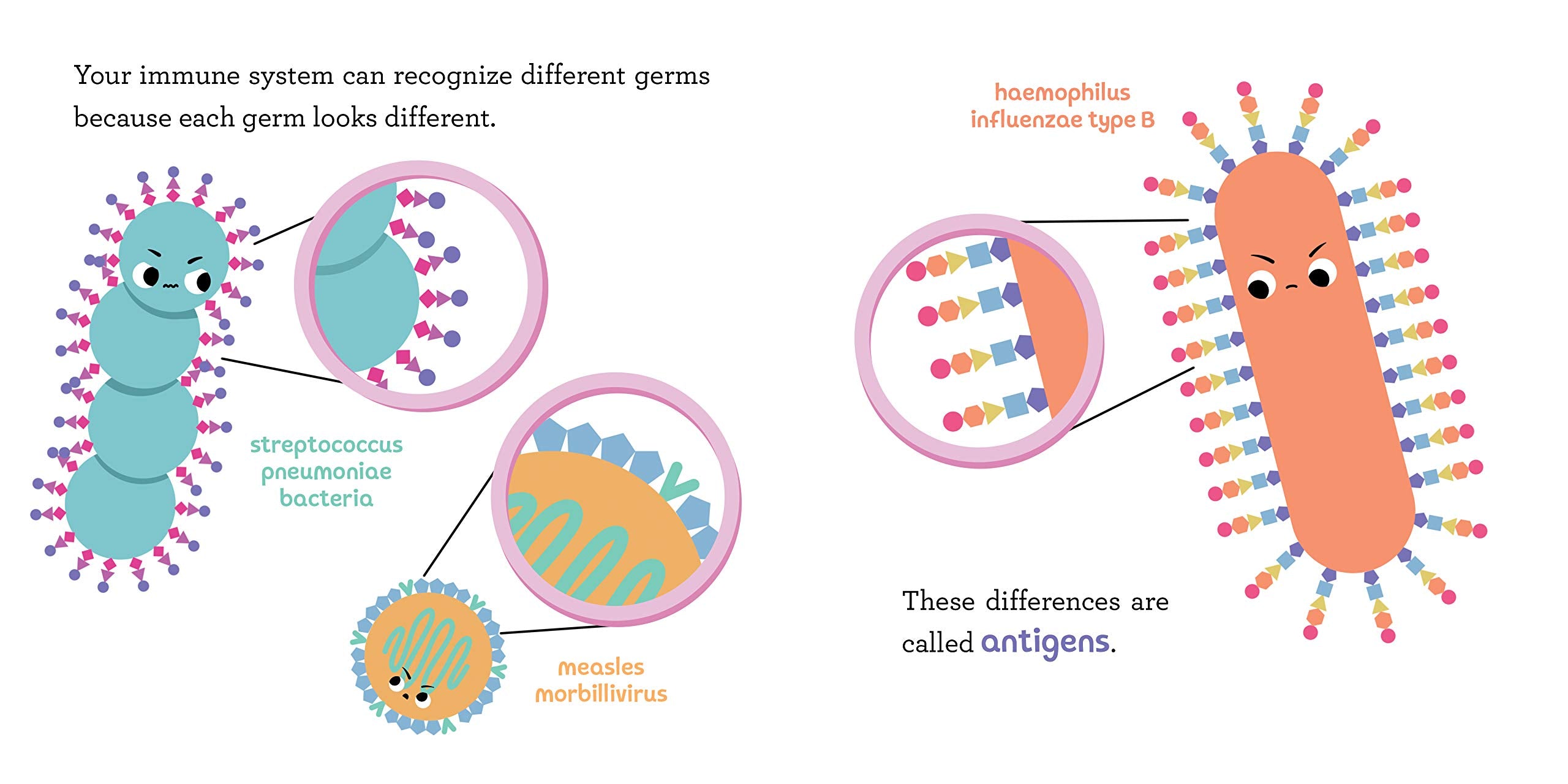 Baby Medical School Vaccines by Sourcebooks 2