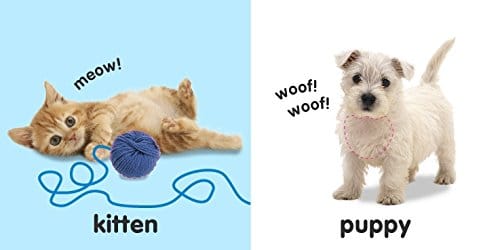 Baby Touch and Feel Animals by DK Publishing 2