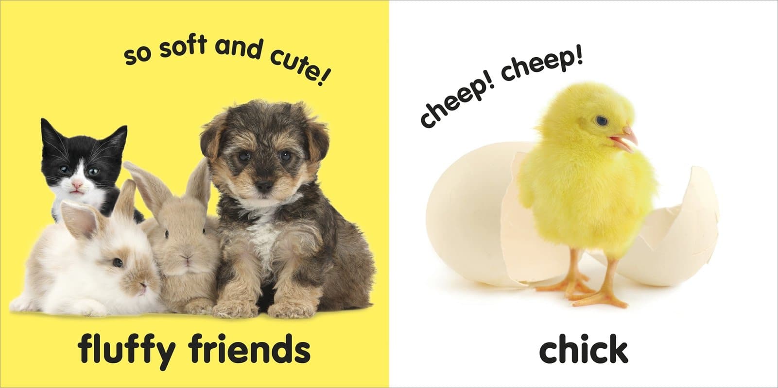 Baby Touch and Feel Fluffy Animals by DK Publishing 1