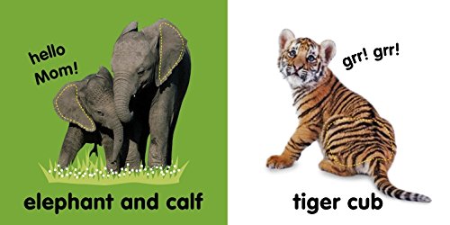 Baby Touch and Feel Wild Animals by DK Publishing 1