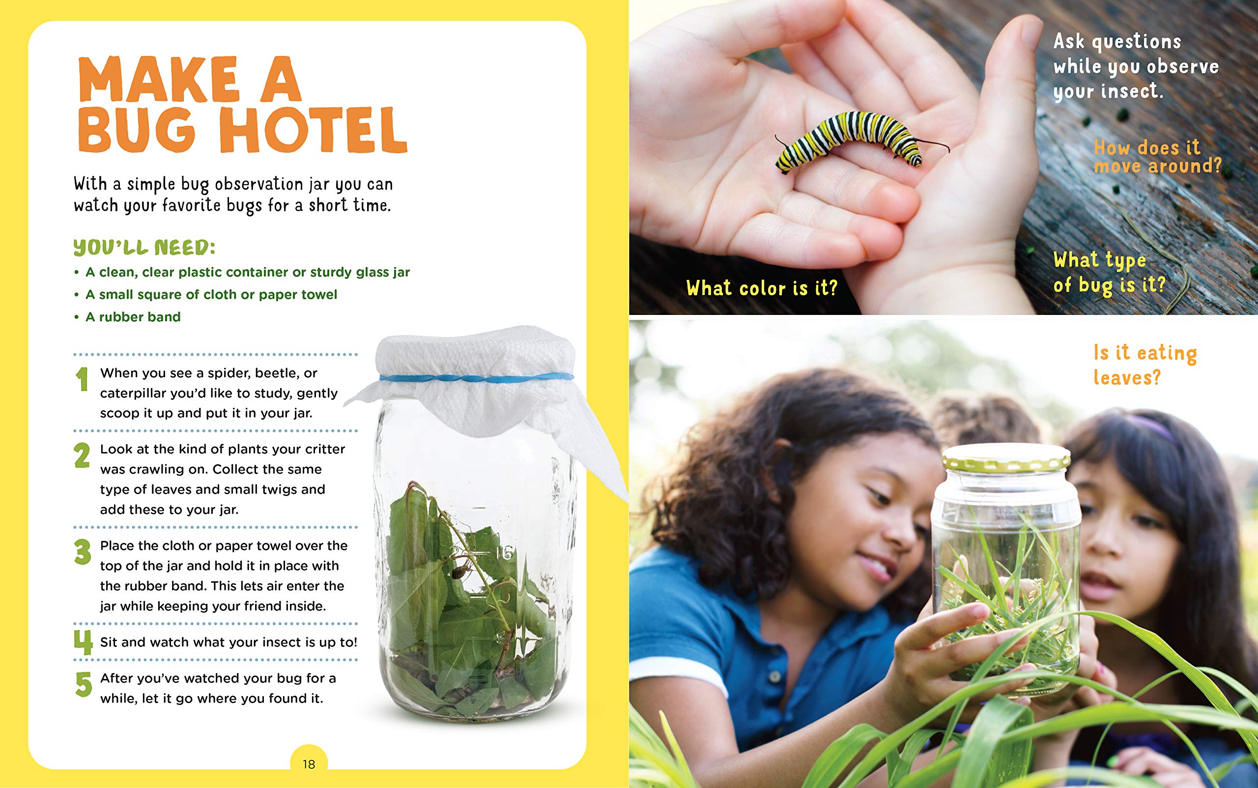 Backpack Explorer Bug Hunt by Workman Publishing 2