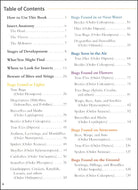 Backyard Bugs An Identification Guide to Common Insects Spiders and More by Adventure Publications 2